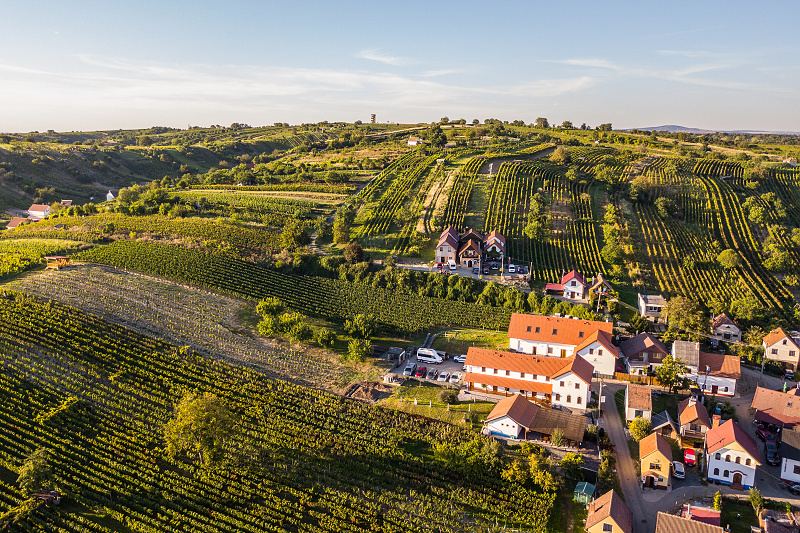 Vinařství Vrba Mutěnice